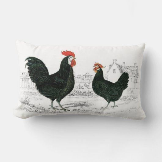 鶏の枕 ランバークッション (正面)