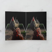 鶏の羽が空いた斑点がある カード (内部)