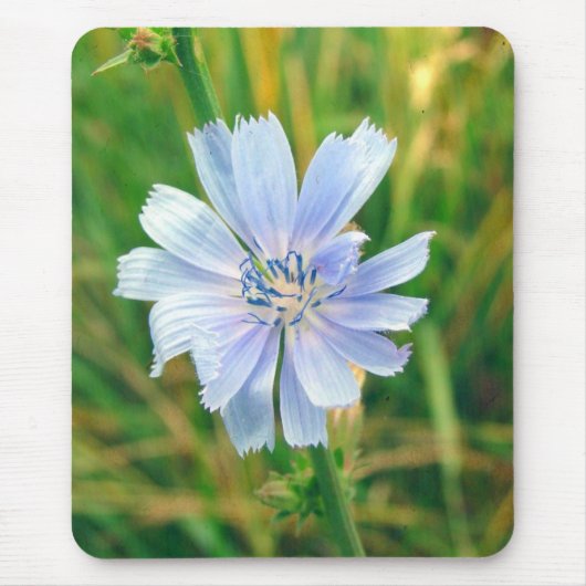 鶏の花 マウスパッド (正面)