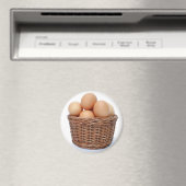 鶏の茶色の卵 マグネット (インサイチュ (食洗機))