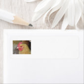 鶏の返品ラベル ラベル (インサイチュ)