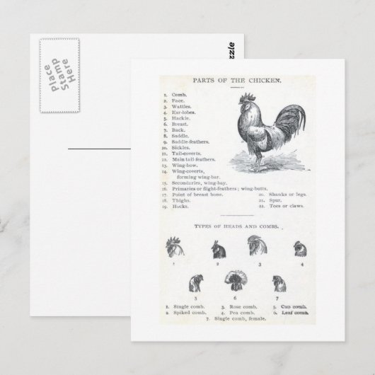 鶏の部品 ポストカード (正面/裏面)