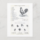 鶏の部品 ポストカード (正面)