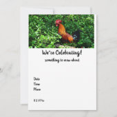 鶏の鳴き声 (正面)