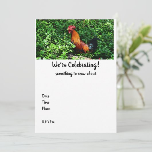 鶏の鳴き声 (スタンド正面)