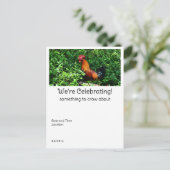 鶏の鳴き声 ポストカード (スタンド正面)