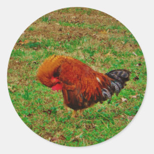 鶏の鳴き声 ラウンドシール