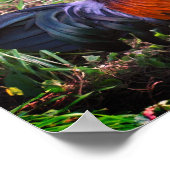 鶏の鳴き農場動物 ポスター (角)