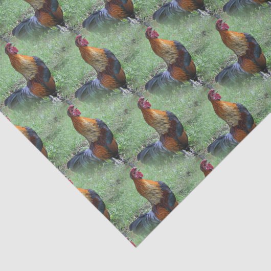 鶏の鳴く動物の自然模様 薄葉紙 (詳細)