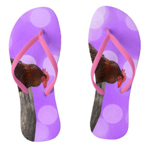 鶏の鳴く小僧 ビーチサンダル