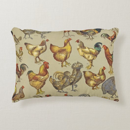 鶏の鶏の養殖田舎の動物 アクセントクッション (正面)