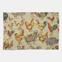 鶏の鶏の養殖田舎の動物