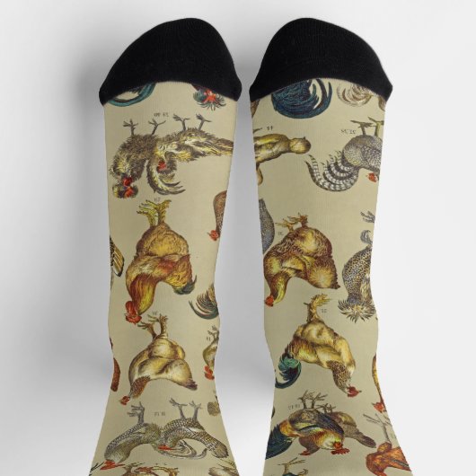 鶏の鶏の養殖田舎の動物 ソックス (上部)