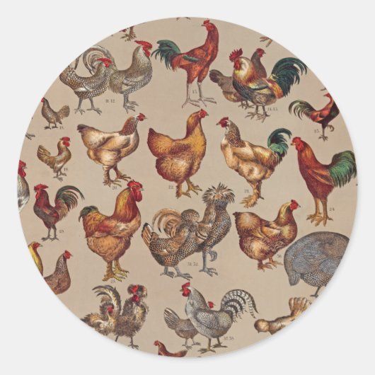 鶏の鶏の養殖田舎の動物 ラウンドシール (正面)