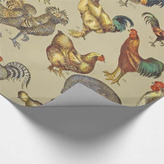 鶏の鶏の養殖田舎の動物 ラッピングペーパー (角)