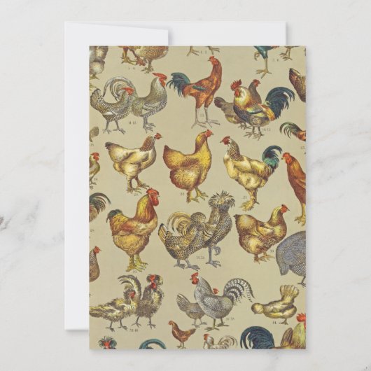 鶏の鶏の養殖田舎の動物 招待状 (裏面)