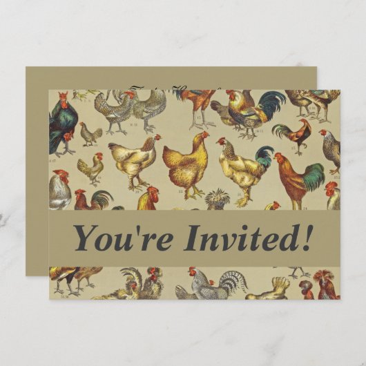 鶏の鶏の養殖田舎の動物 招待状 (正面/裏面)