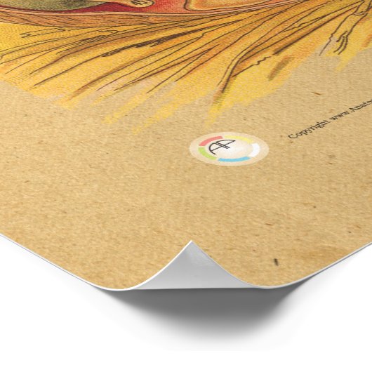 鶏の鶏内解剖図 ポスター (角)