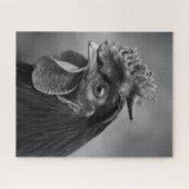 鶏の黒白 ジグソーパズル (横)