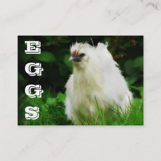 鶏は放し飼いの置く雌鶏の養鶏場に卵を投げつけます 名刺 (正面)