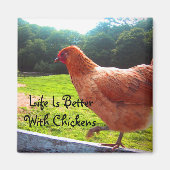 鶏は生きがいが好い マグネット (正面)