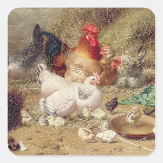 鶏は鶏と鶏を食う スクエアシール (正面)