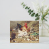 鶏は鶏と鶏を食う ポストカード (スタンド正面)