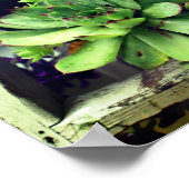 鶏や雛がバケツに入って多肉食になる ポスター (角)