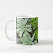 鶏や雛の植物 コーヒーマグカップ (左)