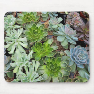 鶏や雛の植物 マウスパッド