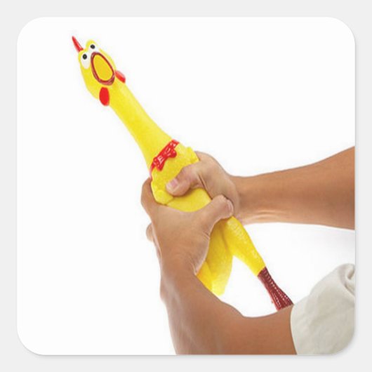 鶏を窒息させる スクエアシール (正面)