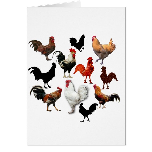 鶏コラージュヴィンテージ素朴鶏 (正面)