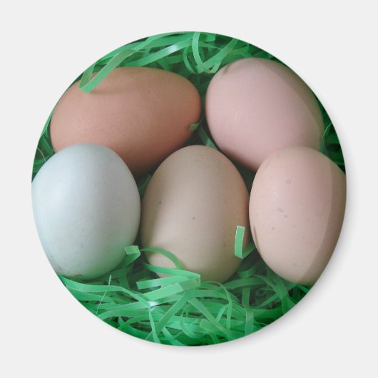 鶏卵 マグネット (正面)