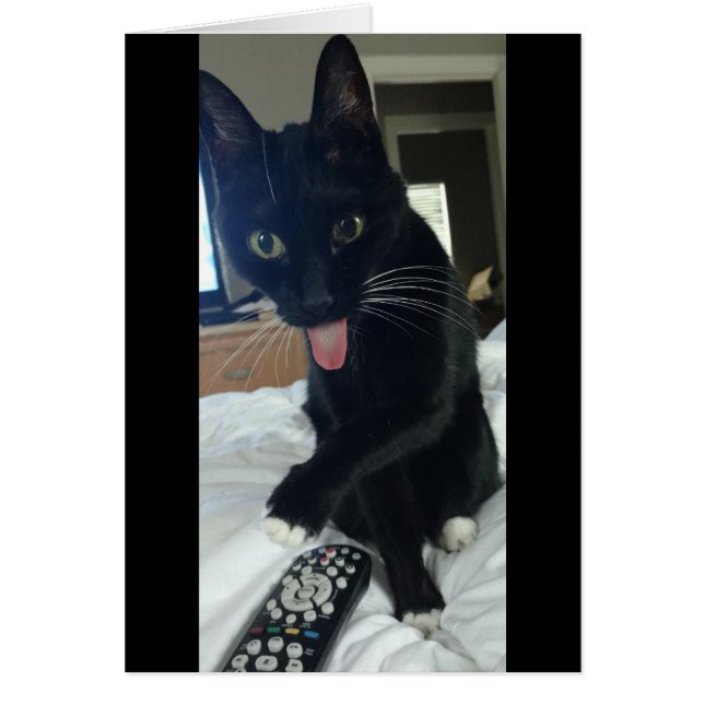 鶏猫用リモコン (正面)