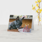 鶏肉誕生日グリーティングカード カード (黄色い花)