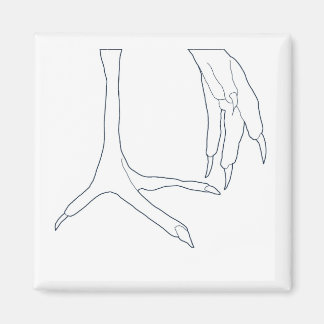 鶏肉足 マグネット