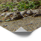 鶏肉 ポスター (角)