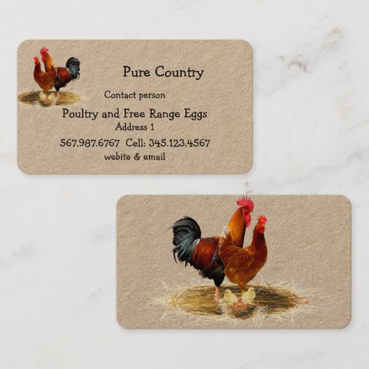 鶏肉、鶏肉、卵を含まない走、ビジオーガニックネス 名刺 (正面/裏面)