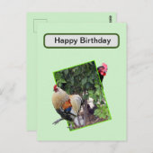 **「鶏遊の3Dでの隠し家探し** ポストカード (正面/裏面)