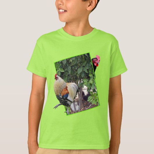 **「鶏遊の3Dでの隠し家探し** Tシャツ (正面)