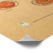 鶏鶏卵の孵化図 ポスター (角)