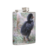 鶏、ひよこ、ニワトリ、ひよこ、動物、鳥、 フラスク (右)