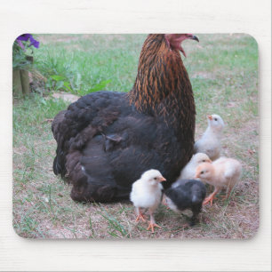鶏、ひよこ、ニワトリ、チック、動物、鳥 マウスパッド