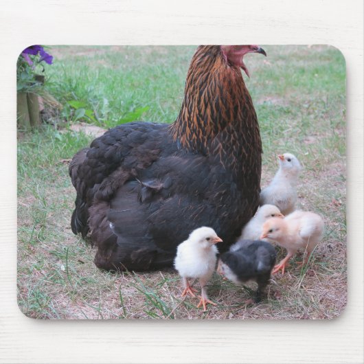 鶏、ひよこ、ニワトリ、チック、動物、鳥 マウスパッド (正面)