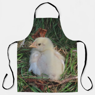 鶏,ひよこ,農場,動物,鳥,家禽,雌鶏,, エプロン