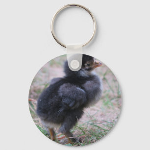 鶏,ひよこ,鶏,雛,動物,鳥。 キーホルダー
