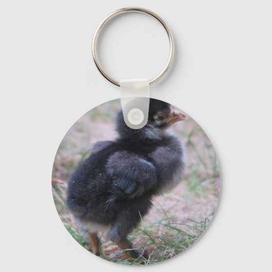 鶏,ひよこ,鶏,雛,動物,鳥。 キーホルダー (正面)