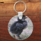 鶏,ひよこ,鶏,雛,動物,鳥。 キーホルダー (正面)