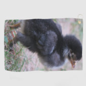 鶏，ひよこ，鶏，雛，動物，鳥。 ゴルフタオル (横)