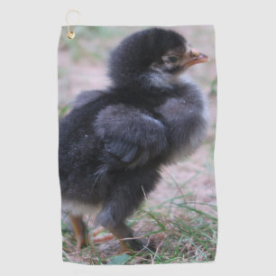 鶏,ひよこ,鶏,雛,動物,鳥。 ゴルフタオル